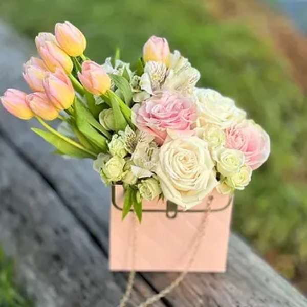 Lightless of Tulips Momentum