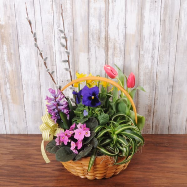 Bulb Basket of Blooms