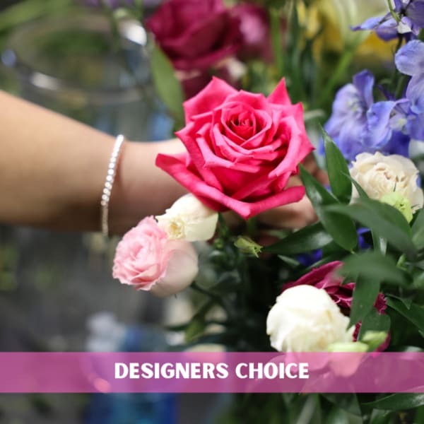 Small Designers Choice