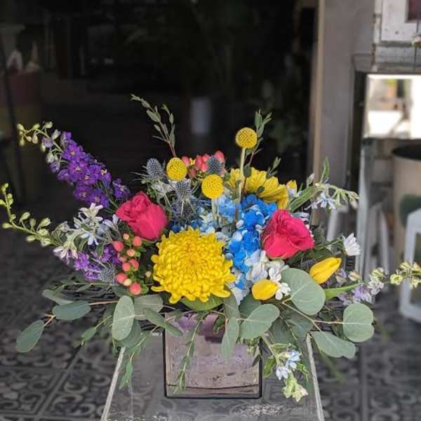 Blue Caribbean Breeze (Designer Choice)