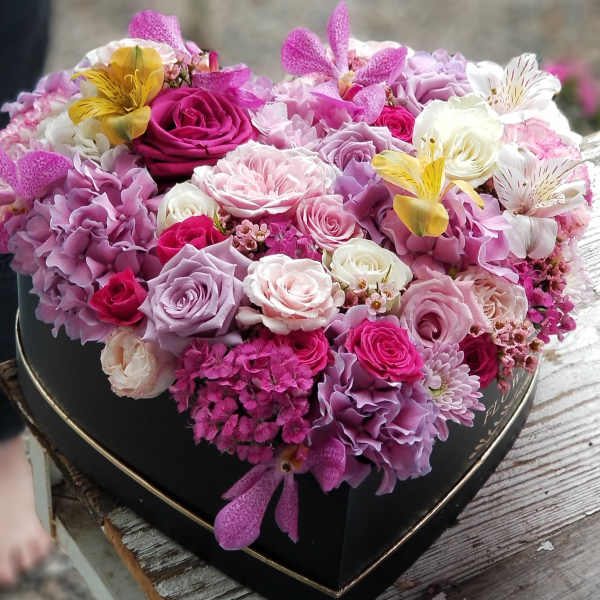 The Open Heart (Deluxe) - The secret of purple