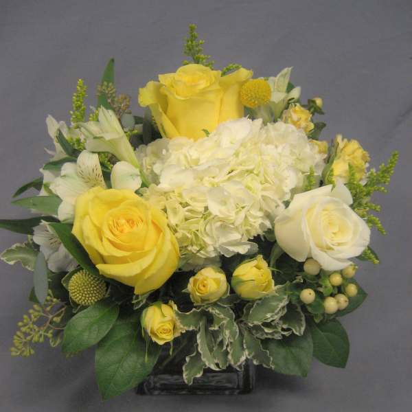 Sweetest Sunrise E-69