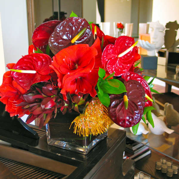 99 Contemporary Anthurium Square