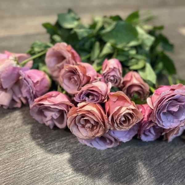 1 or 2 Dozen You Pick Color Long Stem Roses Designer's Choice