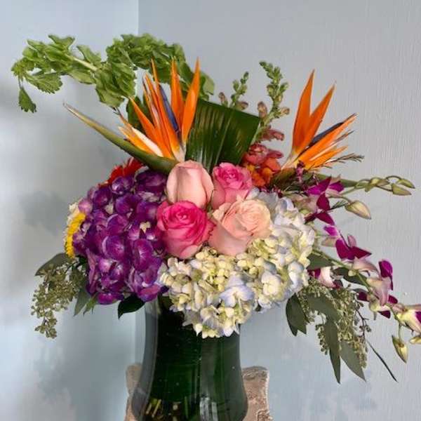 Tall mixed arrangement with birds of paradise, roses, hydrangeas, and orchids in a green-lined clear glass vase.