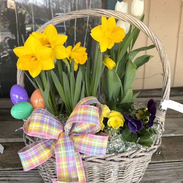 Easter Plant Combo 3