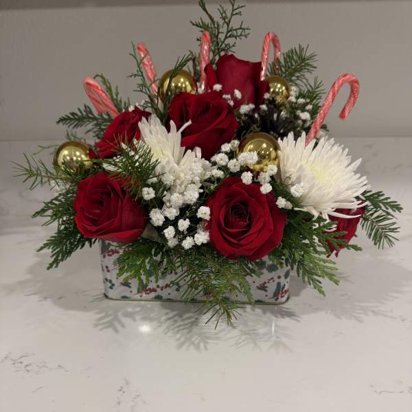 Golden Crimson Holiday Delight