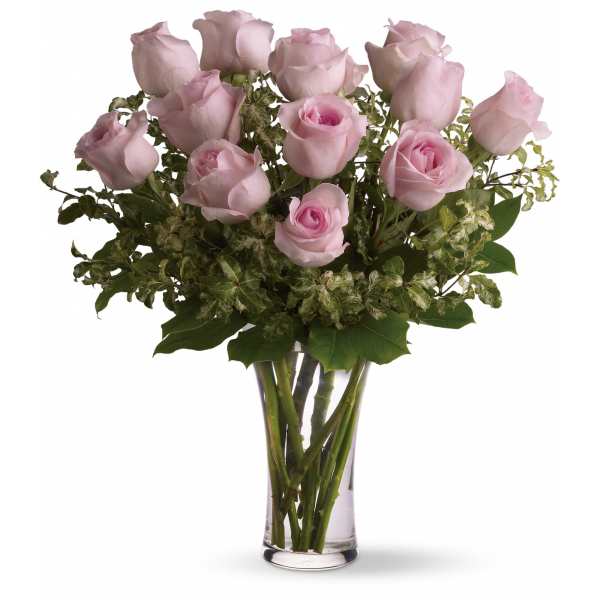Dozen Light Pink Roses