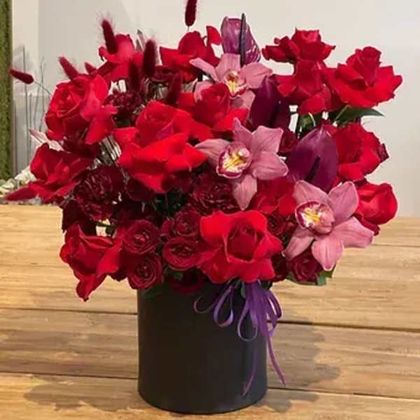 Lady Marry ( modern style )