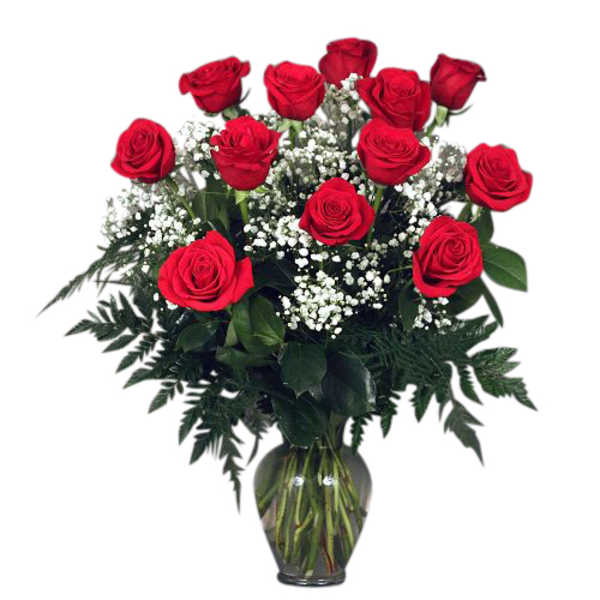 Premium Red Roses Arranged with Filler