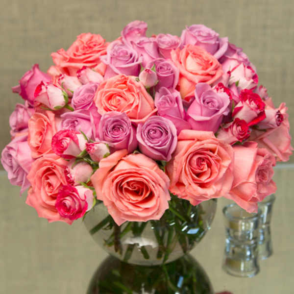 50 Muli Color roses