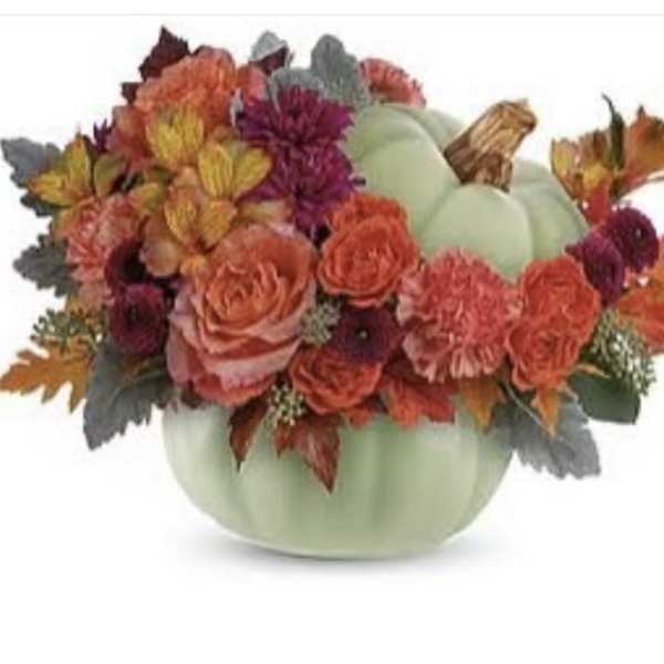 JUST PEACHY SAGE PUMPKIN