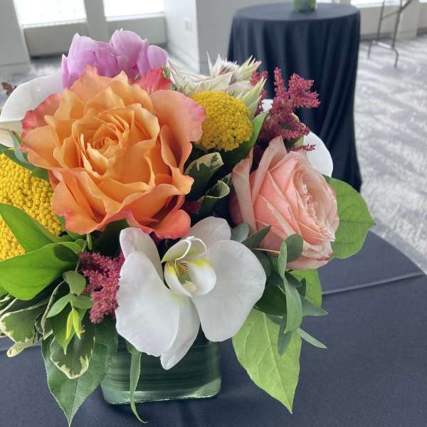 Seasonal Spring Collection