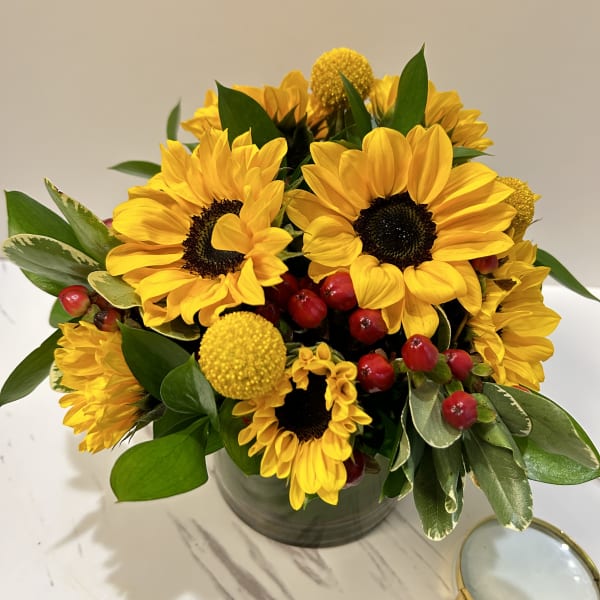 Sunny Sunflowers