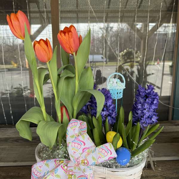 Easter Plant Combo 2