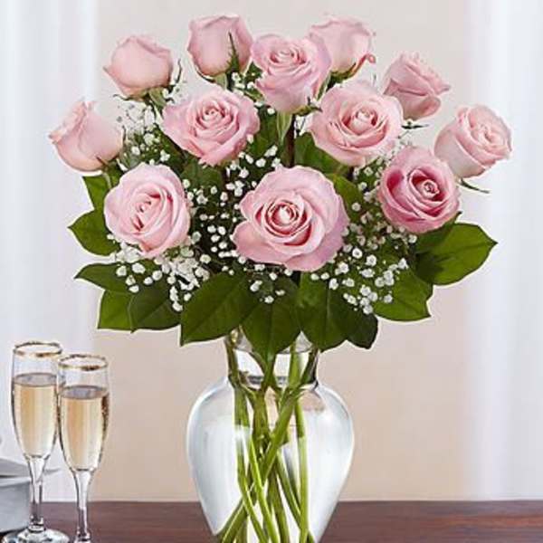 Premium Long Stem Pink Roses