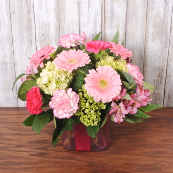 Compact arrangement of pink gerbera daisies, carnations, and hydrangeas in a pink cube vase