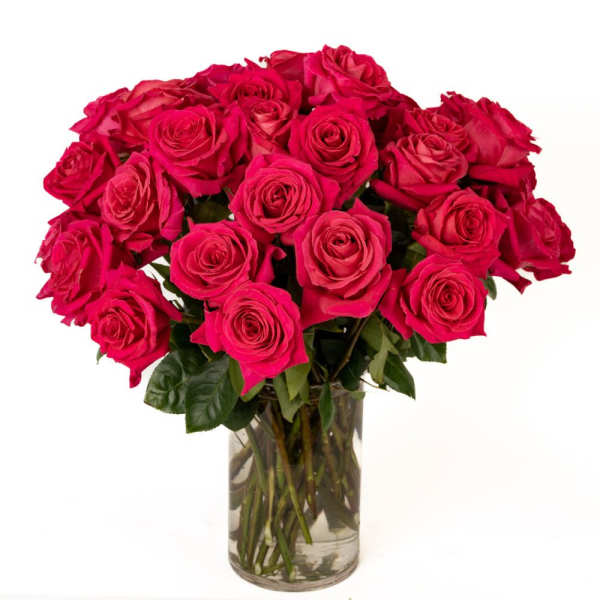 Dozen-plus hot pink roses arranged in a clear glass cylinder vase filled with water