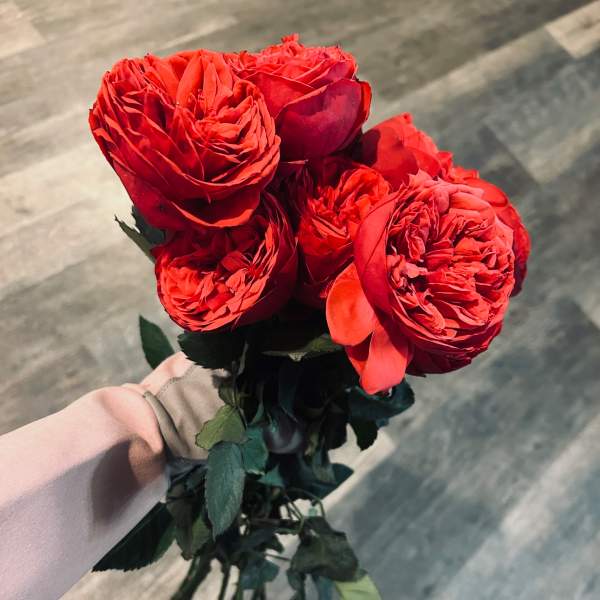 2 Dozen Fresh Cut Garden Roses