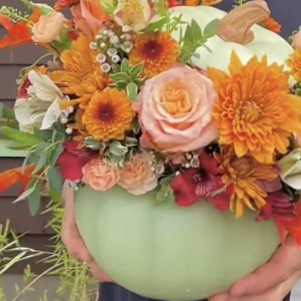 SAGE PUMPKIN SCENTSATION