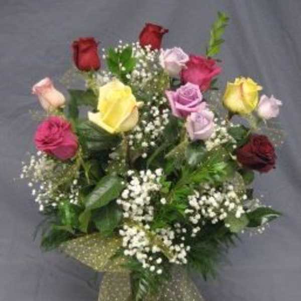 Colorful Dozen Roses V01