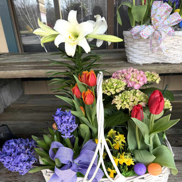 Easter Plant Combo 6