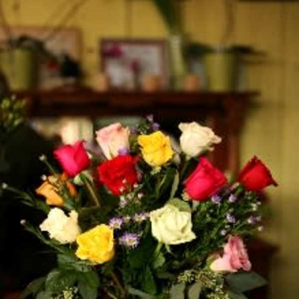 Arranged Medium Stem Multi-Color Roses