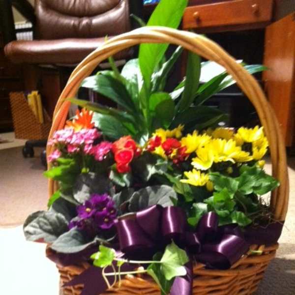 Basket garden of mixed blooming plants with yellow, pink, and purple flowers and a purple ribbon bow