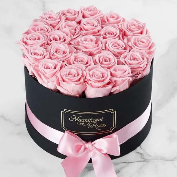 Preserved Pink Roses