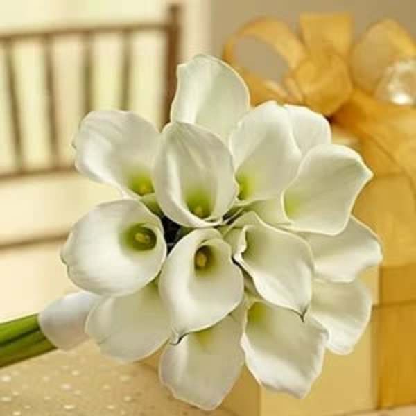 Brides Bouquet of 15 White Callas