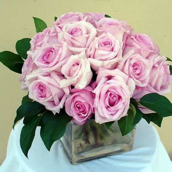 Modern Pink Roses