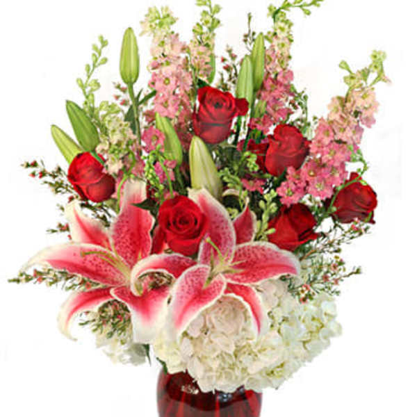 My Beautiful Valentine