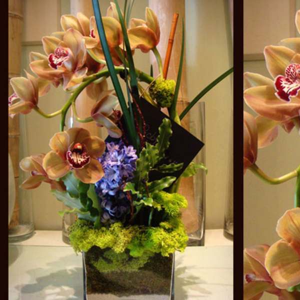 Cymbidium orchid spray and hyacinth in a square glass vase with moss.