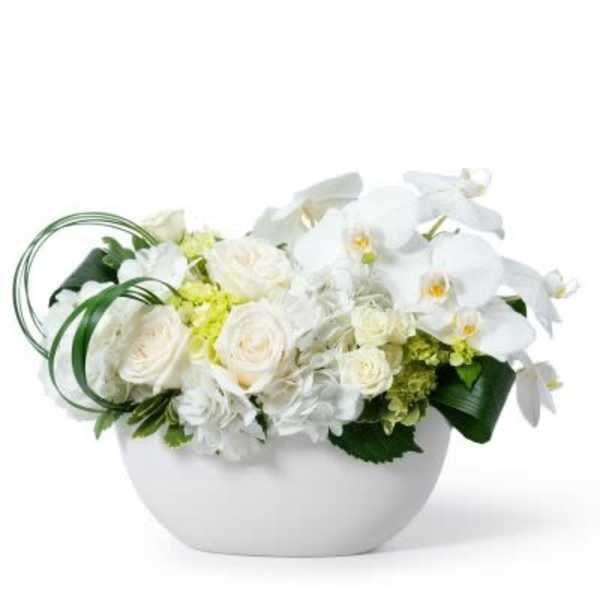 Low white bowl of white roses, orchids, and hydrangeas with decorative green looped foliage