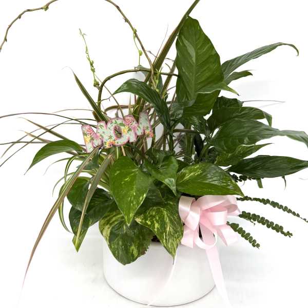 Potted green houseplant garden in a white container with pink MOM sign and pink ribbon bow