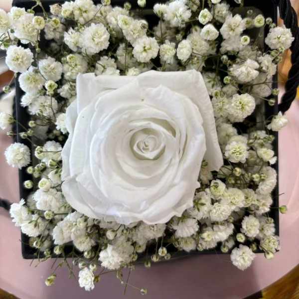 Eternal Ecuadorian Rose in Placentia, CA – Preserved Rose Gift