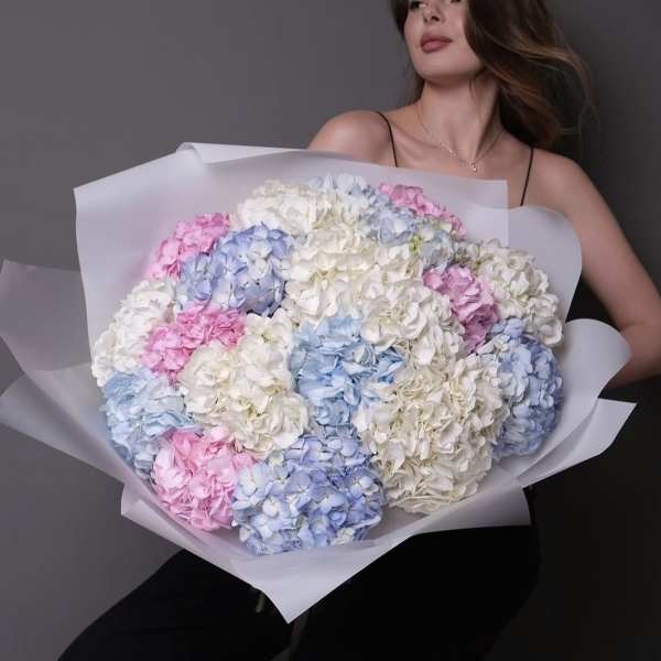 Mix of Hydrangea