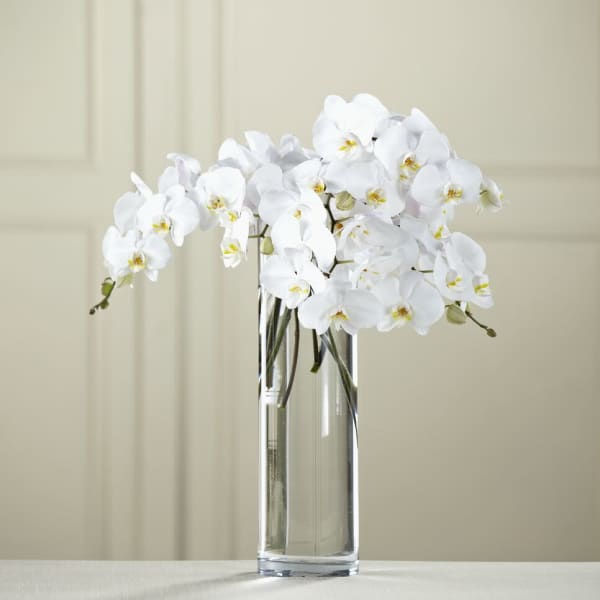 Pure Serenity White Orchids