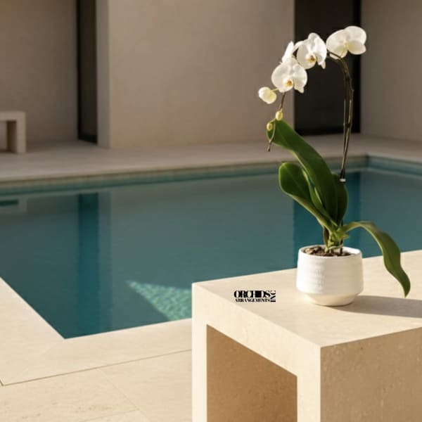 White Phalaenopsis Orchid Arrangement – Elegant Home Décor