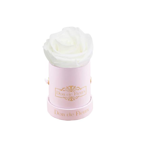 Mini Blush Pink Round Preserved Rose-White