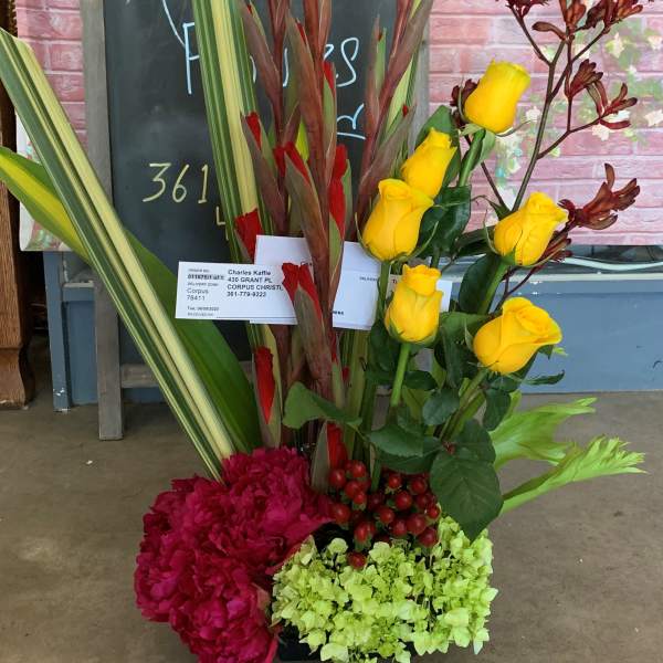 andrews tropical sun