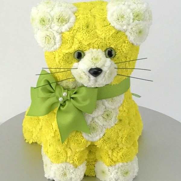 oasis cat with flowers