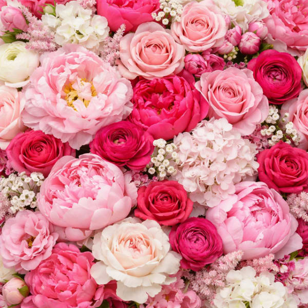 Peony In Love * Designer’s Choice