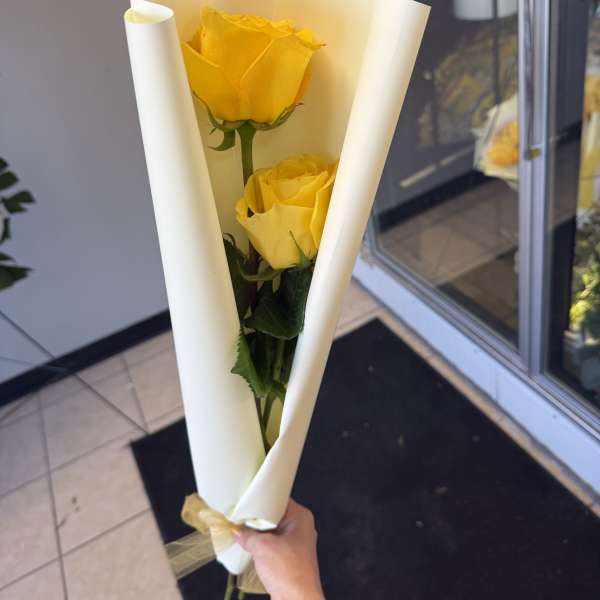 Dual yellow rose