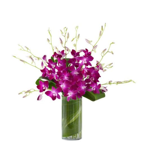Tall glass vase of purple dendrobium orchids with a green leaf wrap inside