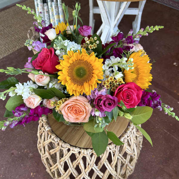 Cat Friendly Arrangement