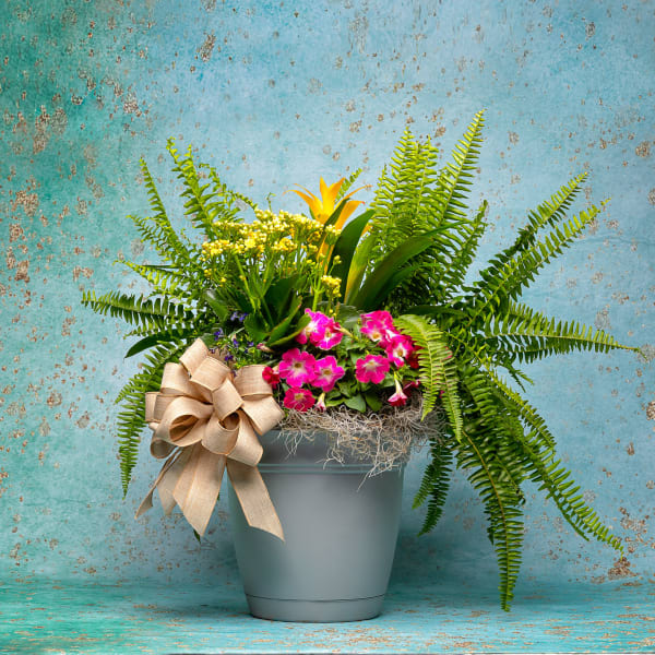 Spring Mix Patio Pot Planter