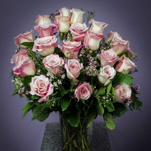 Valentine's Day- 2 Dozen - Pink Roses