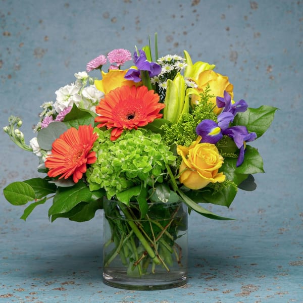 Spring Designers Choice Mix(Short)