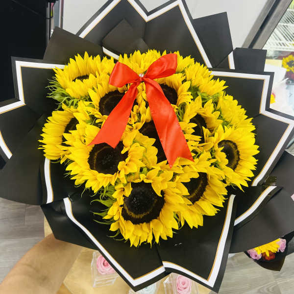 12 sunflowers Buchon
